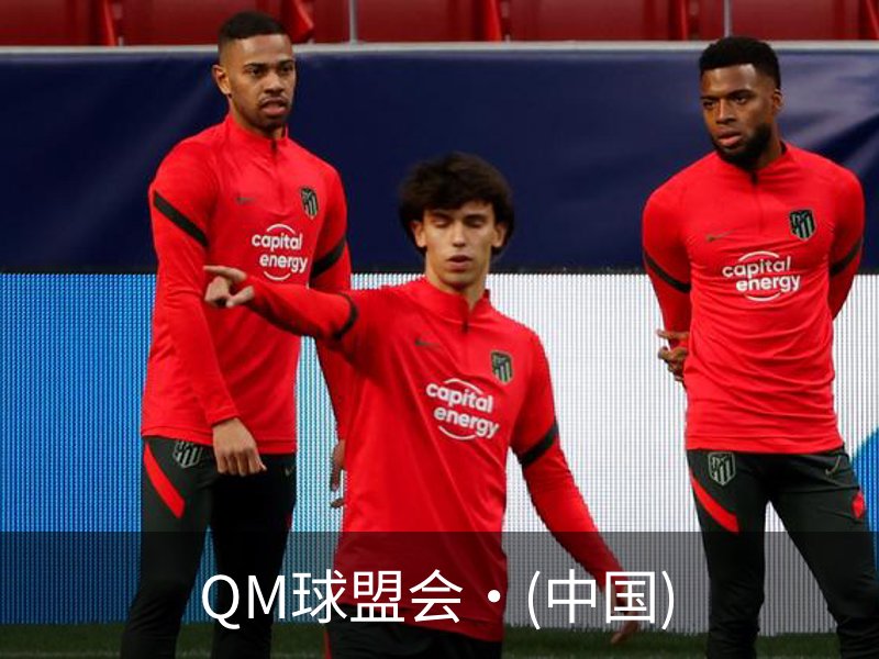 QM球盟会·(中国)介绍